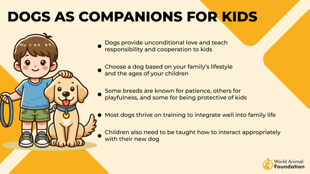 Dogs as Companions for Kids