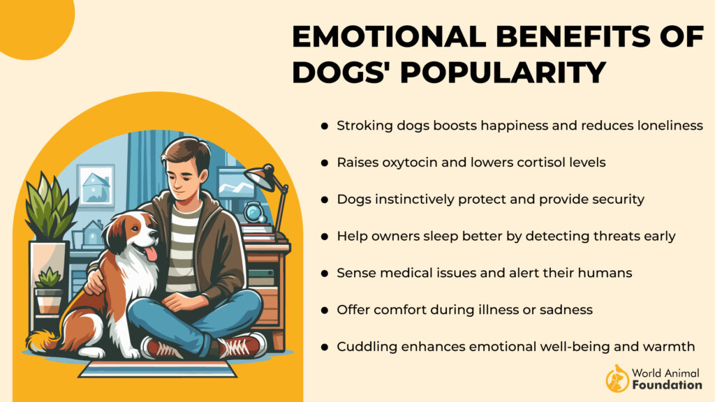 Emotional Benefits of Dogs' Popularity