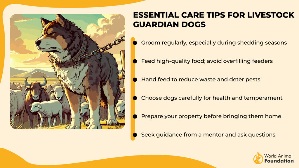 Essential Care Tips for Livestock Guardian Dogs