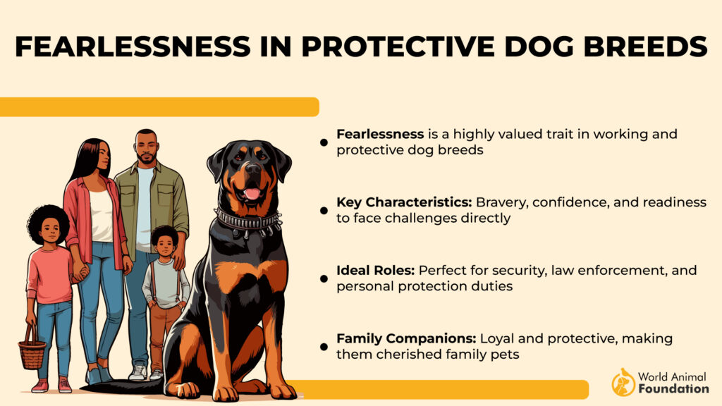 Fearlessness in Protective Dog Breeds