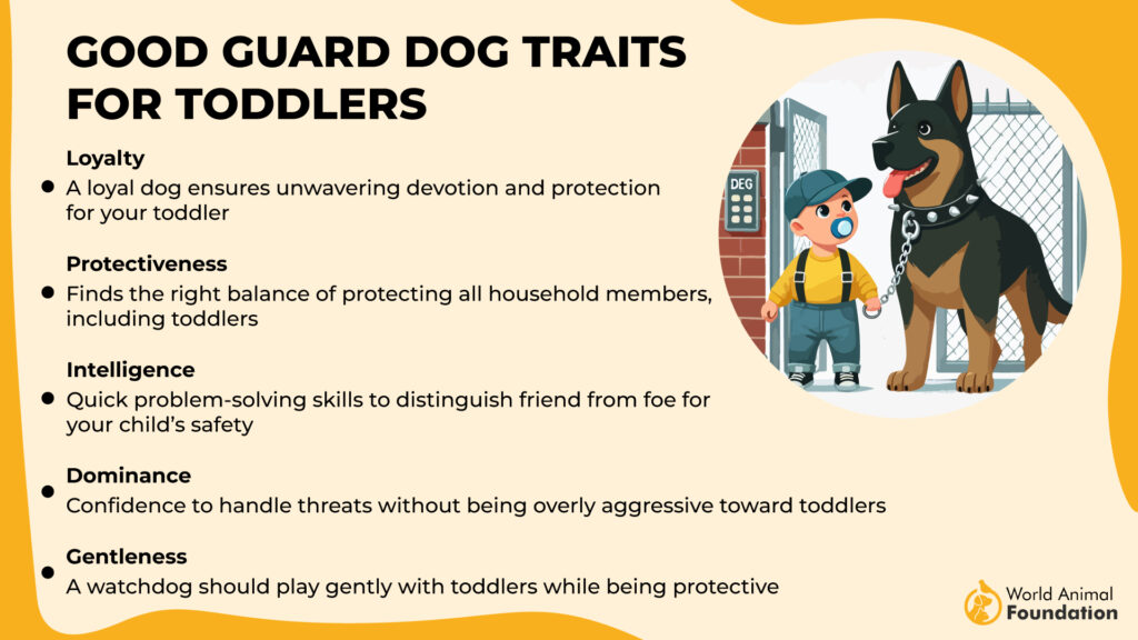 Good Guard Dog Traits for Toddlers