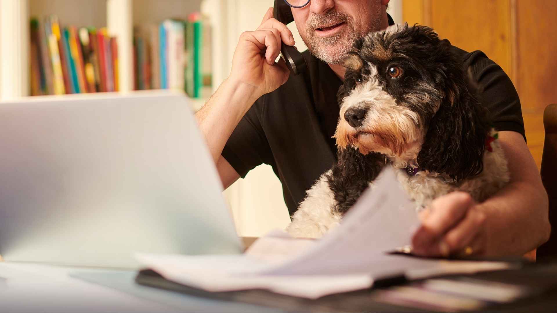 Guard dog breeds for full time workers