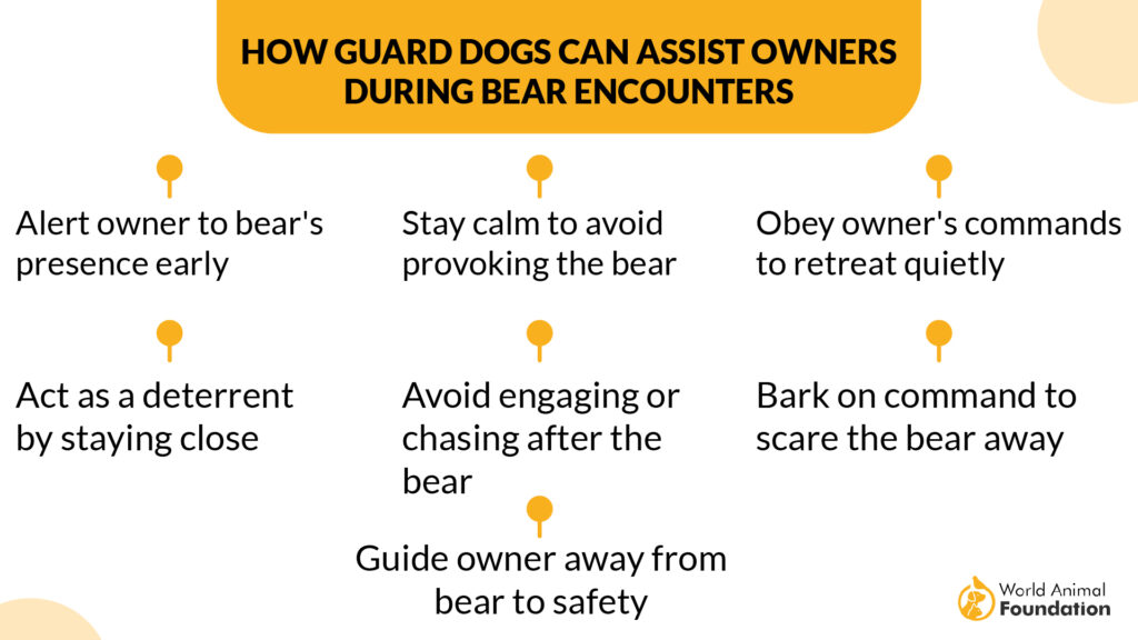 How Guard Dogs Can Assist Owners During Bear Encounters