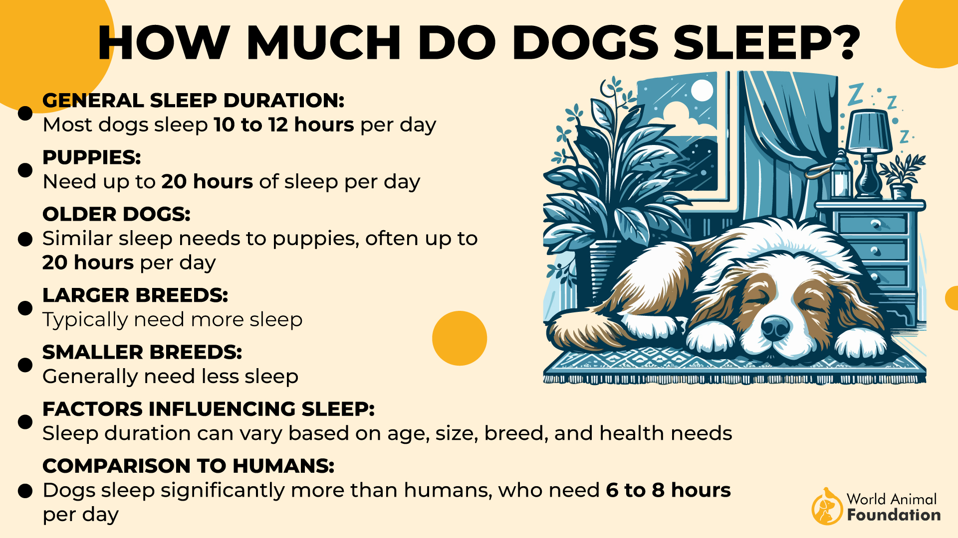 How Much Do Dogs Sleep-01