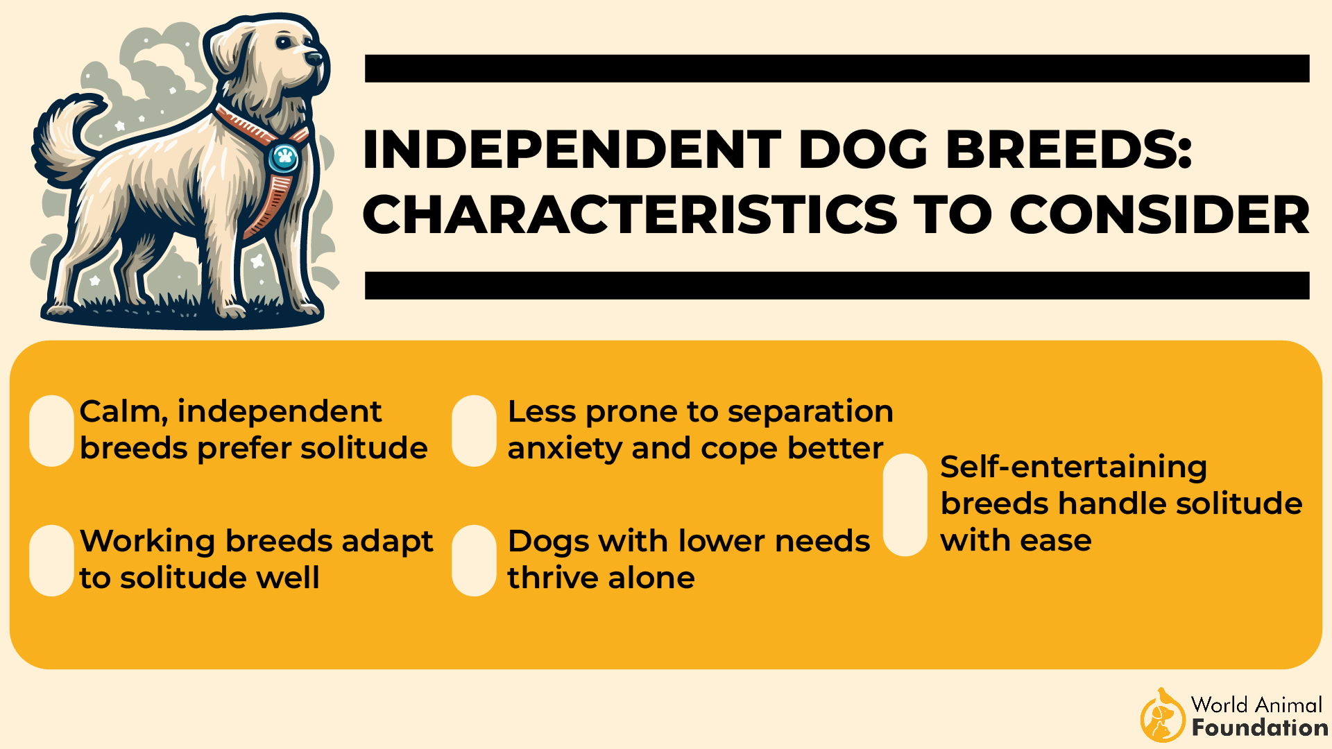 Independent Dog Breeds Characteristics to Consider-01