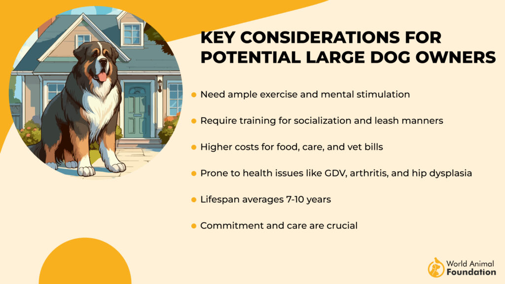 Key Considerations for Potential Large Dog Owners