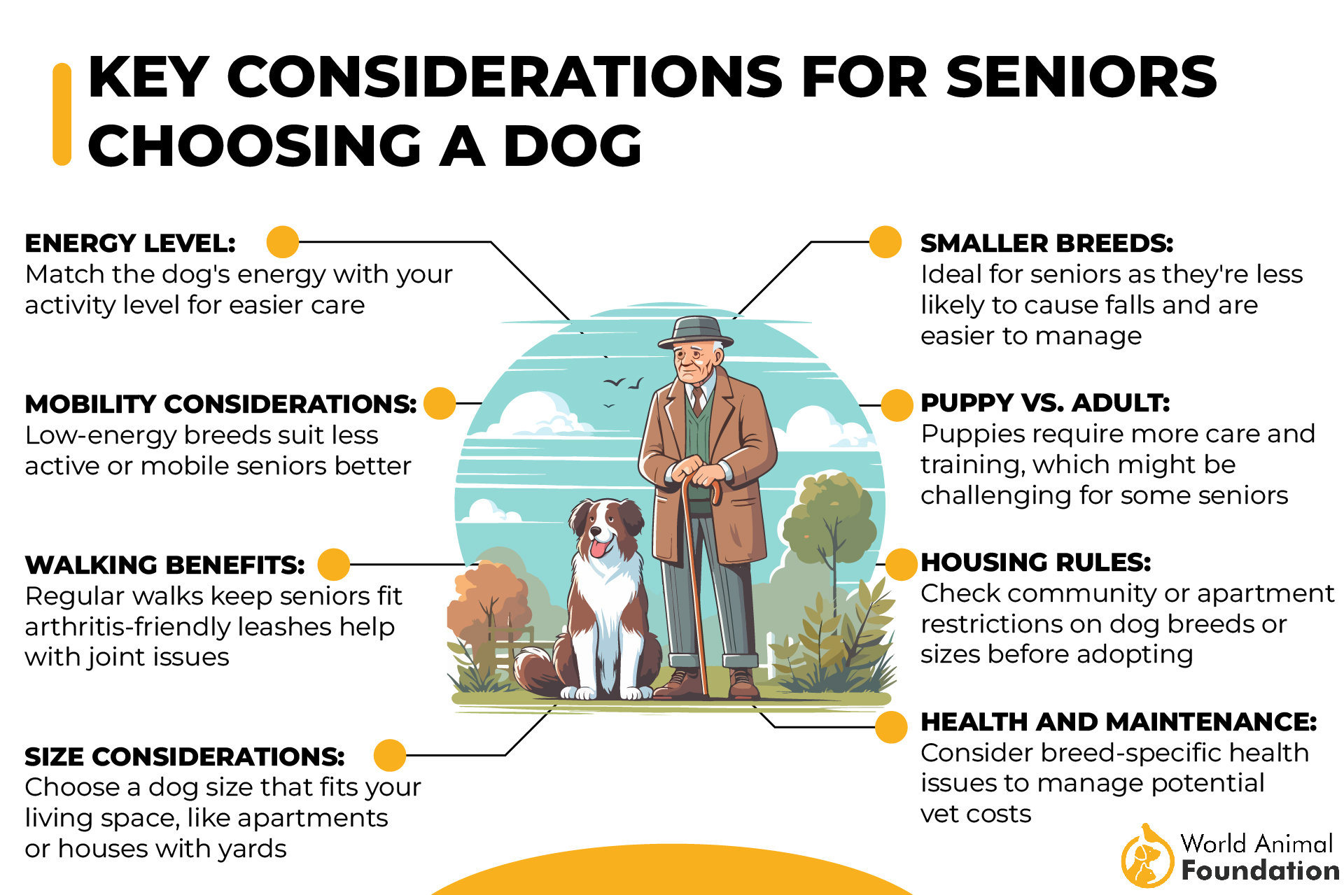 Key Considerations for Seniors Choosing a Dog-01