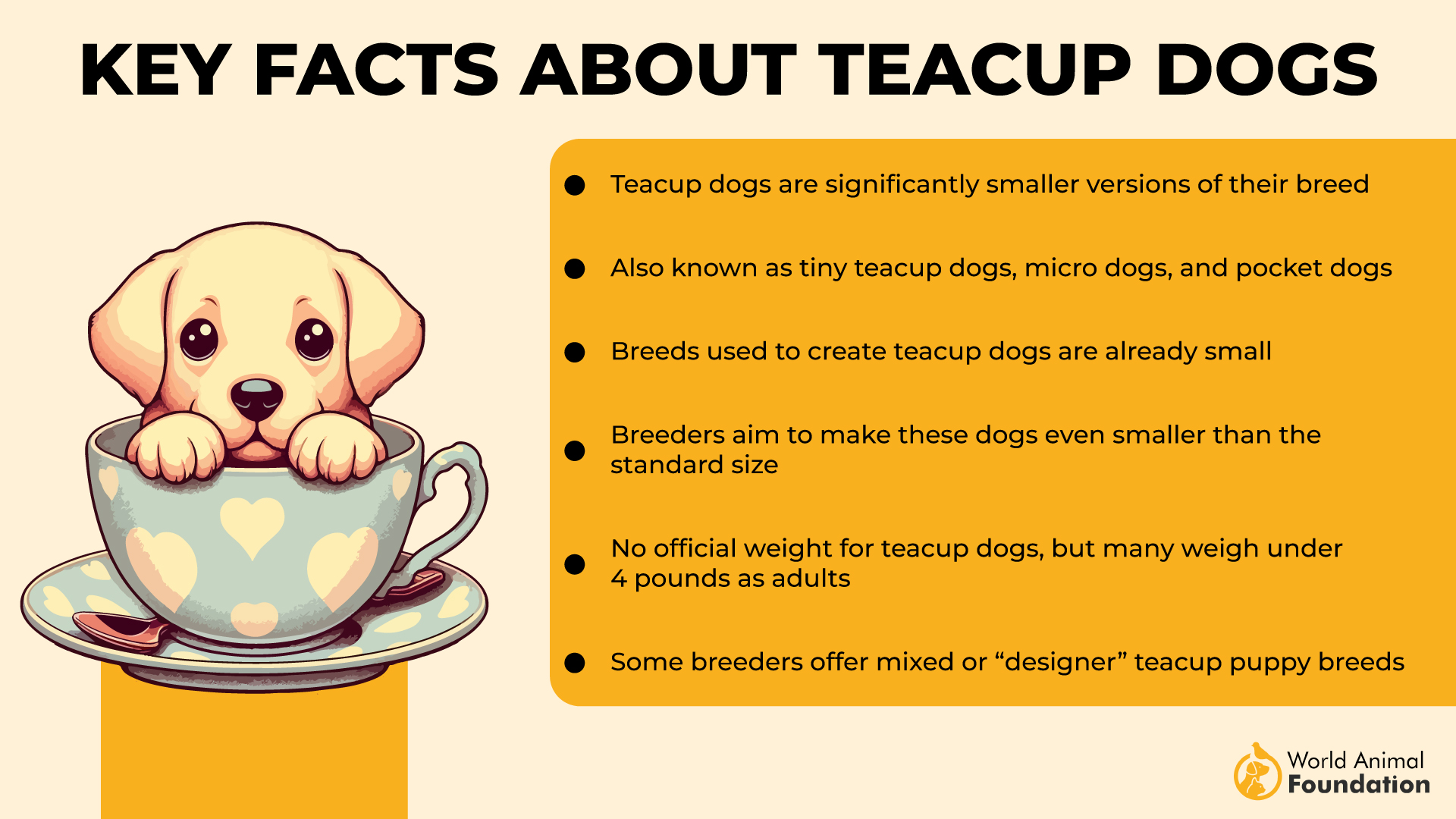 Key Facts About Teacup Dogs-01