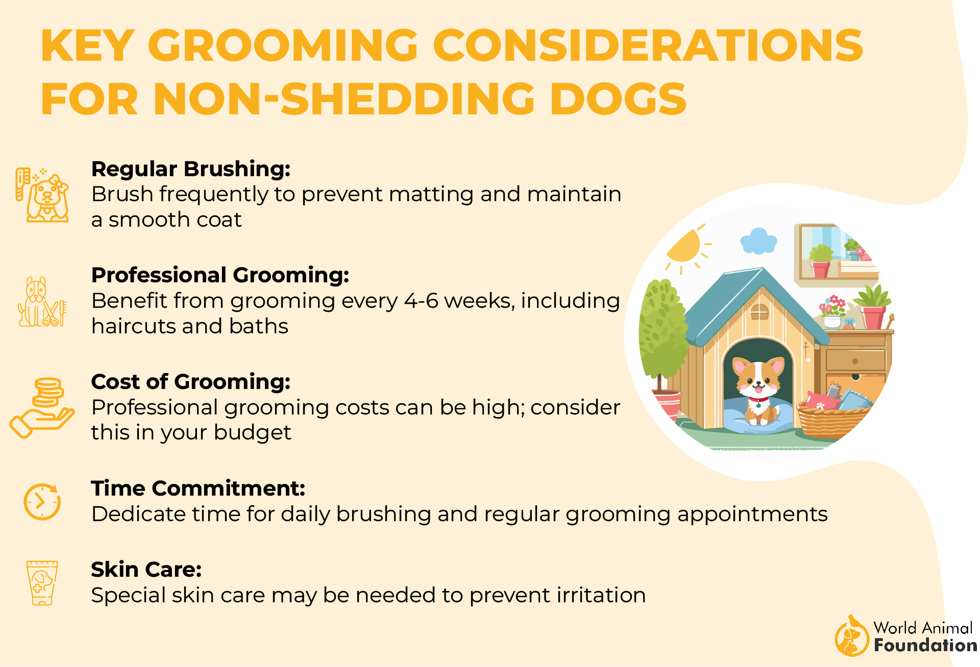 Key Grooming Considerations for Non-Shedding Dogs-01(1)