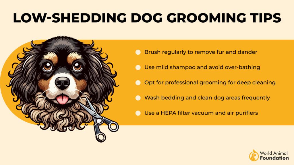 LOW-SHEDDING DOG GROOMING TIPS