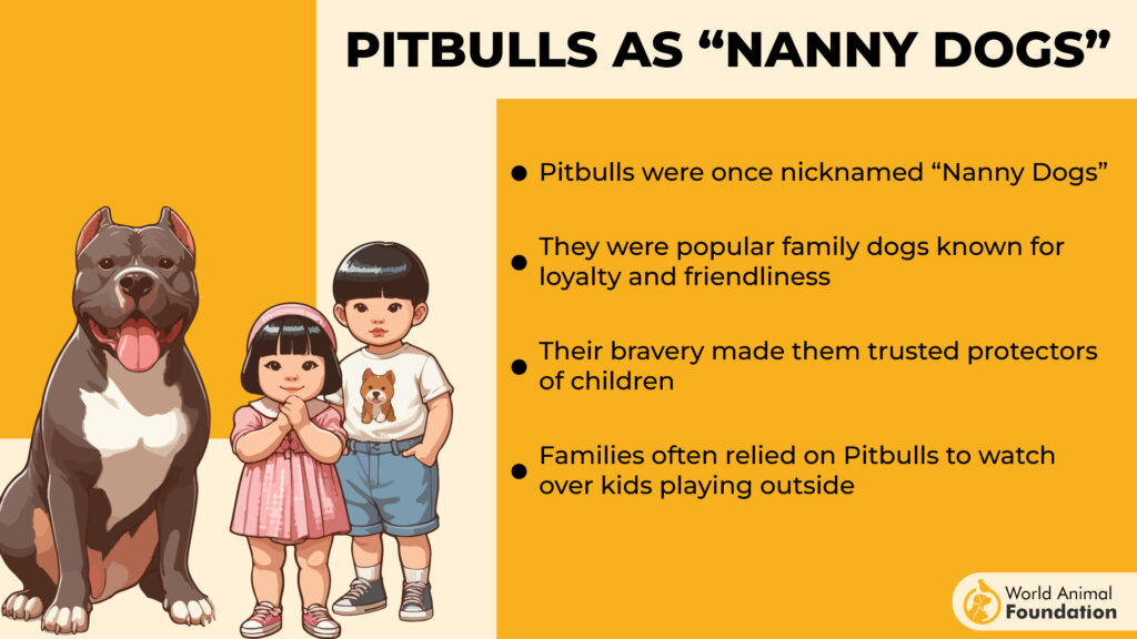 Pitbulls as “Nanny Dogs”