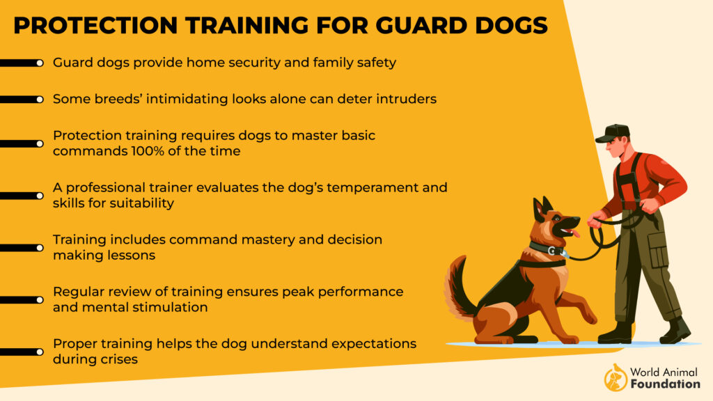 Protection Training for Guard Dogs