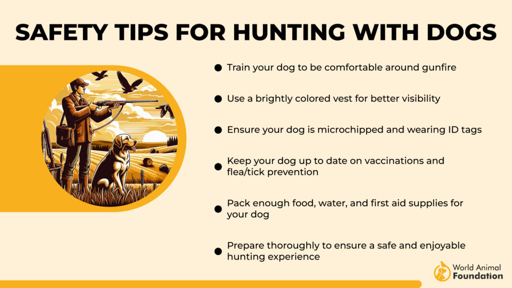 Safety Tips for Hunting With Dogs