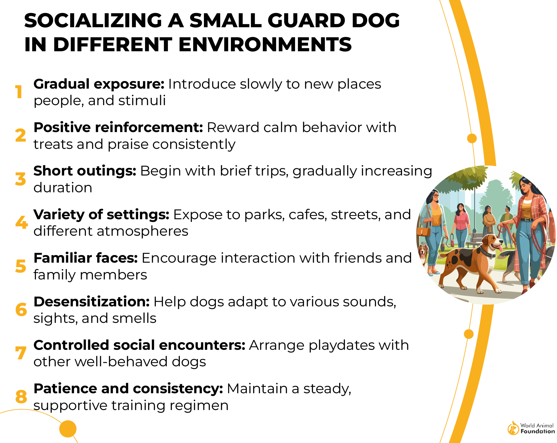 Socializing a Small Guard Dog in Different Environments-01