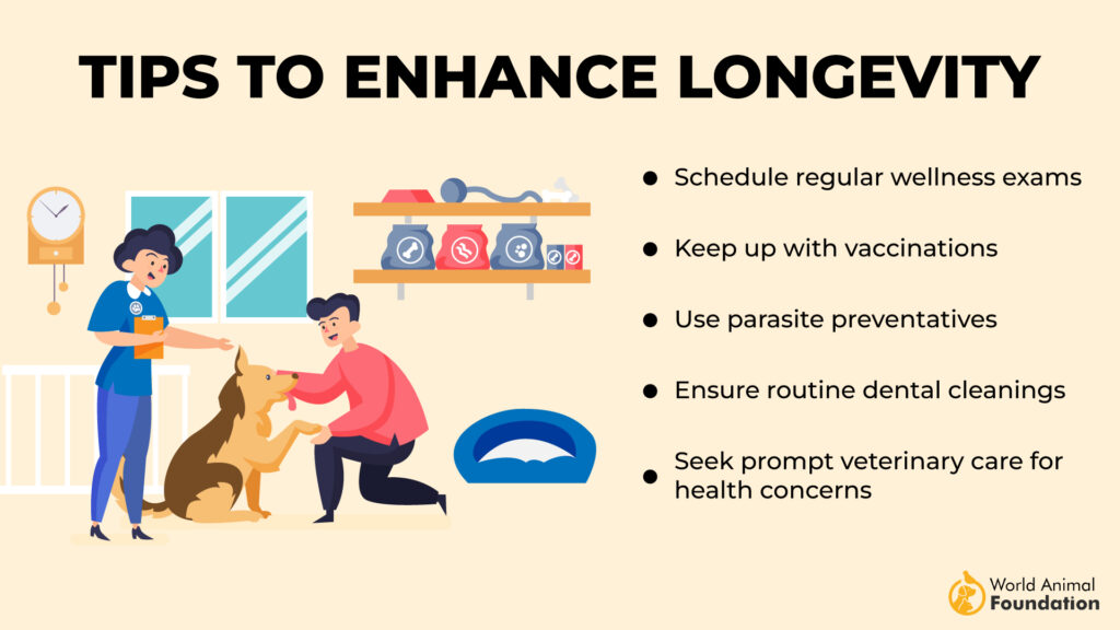 Tips to Enhance Longevity