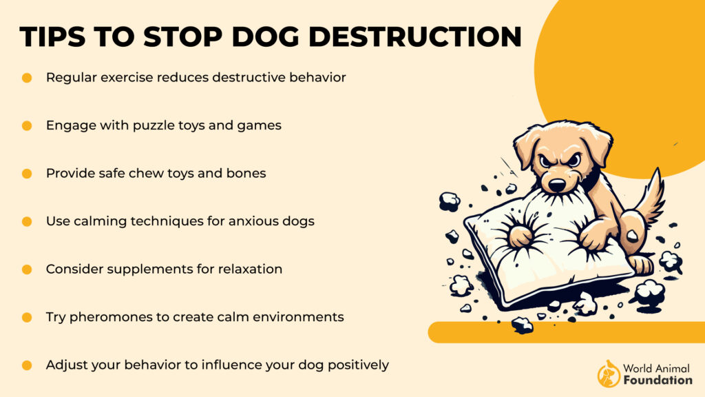 Tips to Stop Dog Destruction