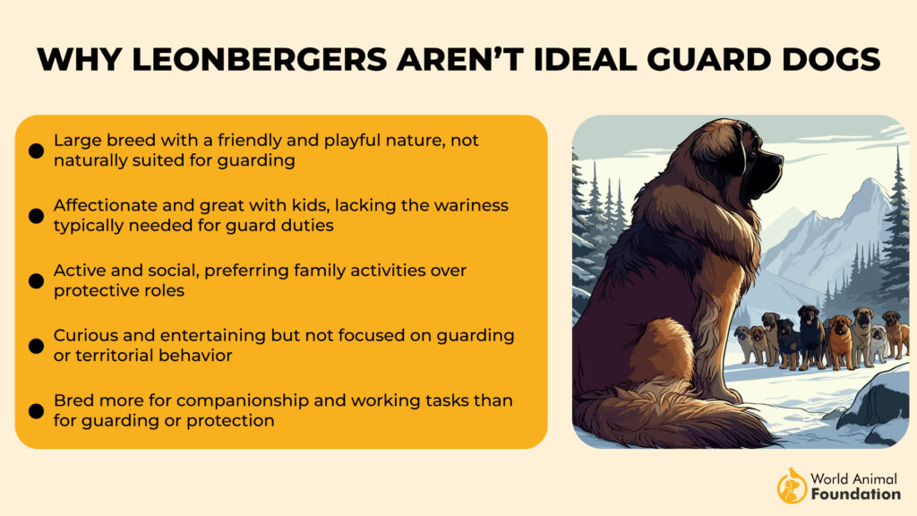 Why Leonbergers Aren’t Ideal Guard Dogs