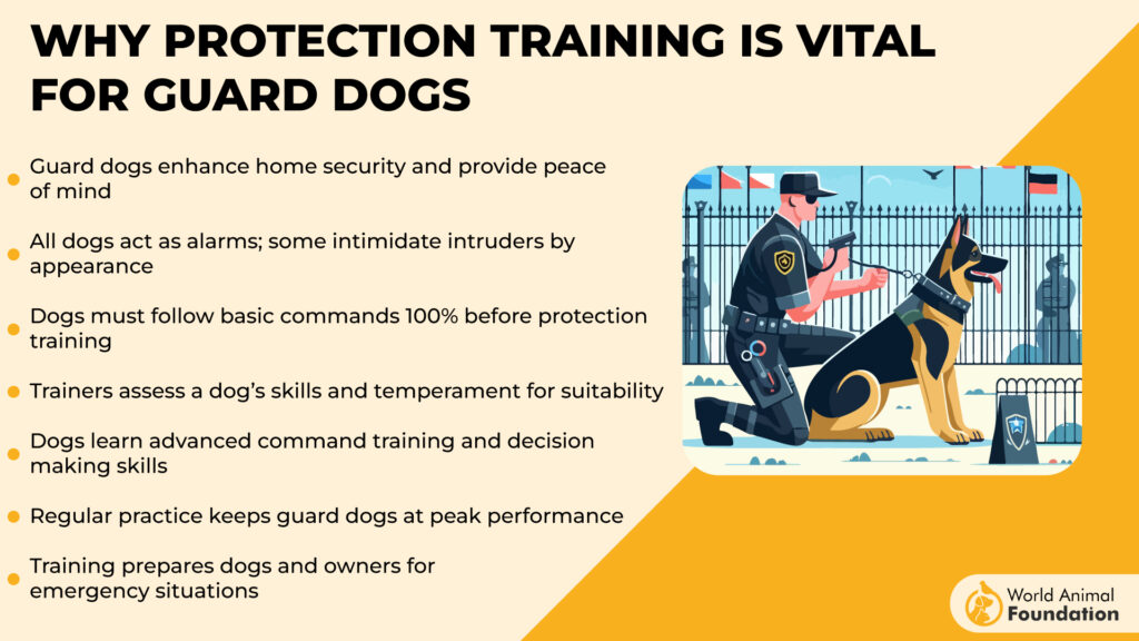 Why Protection Training is Vital for Guard Dogs