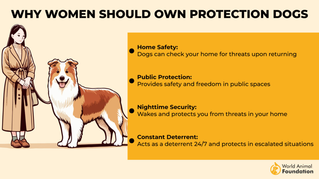 Why Women Should Own Protection Dogs