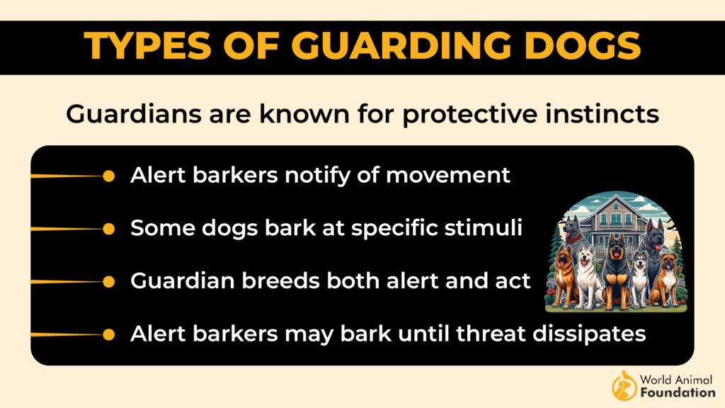 what dog breeds protect their owners
