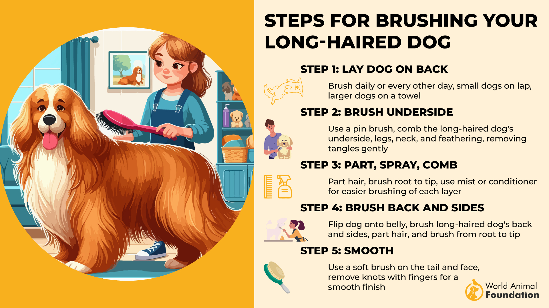 Steps for Brushing Your Long-Haired Dog-01