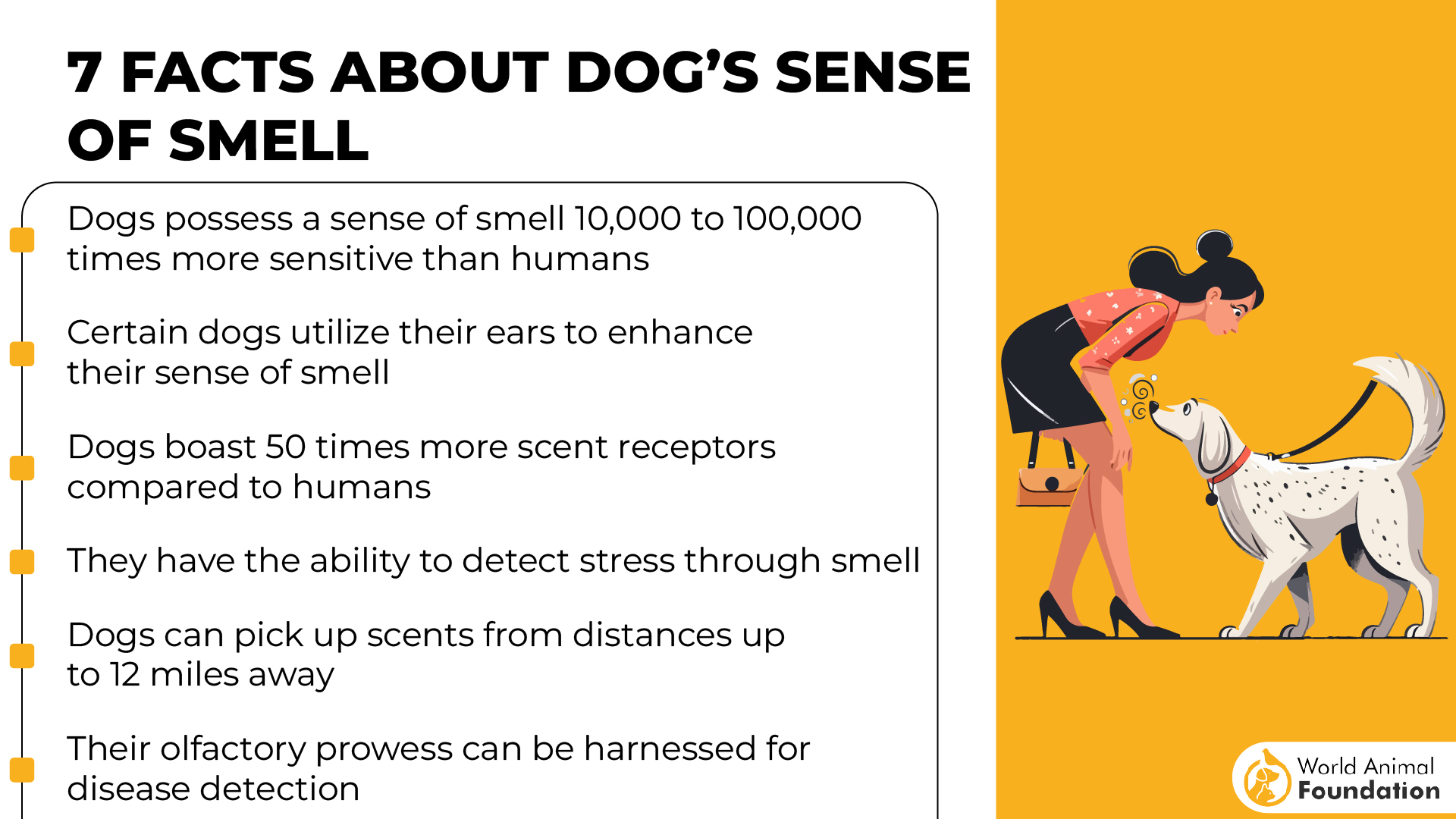 7 Facts about Dog’s Sense of Smell-01