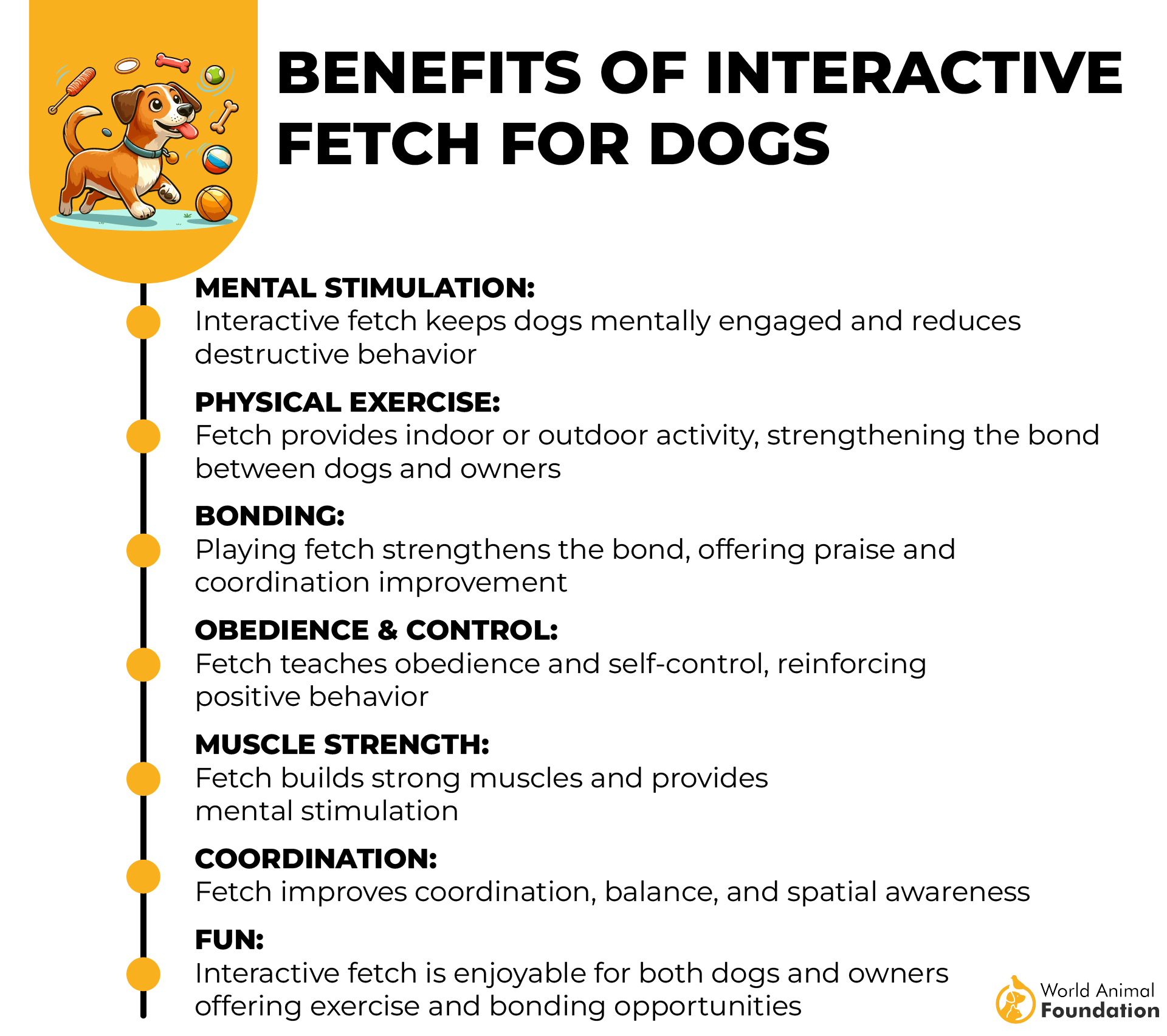 Benefits of Interactive Fetch for Dogs-01