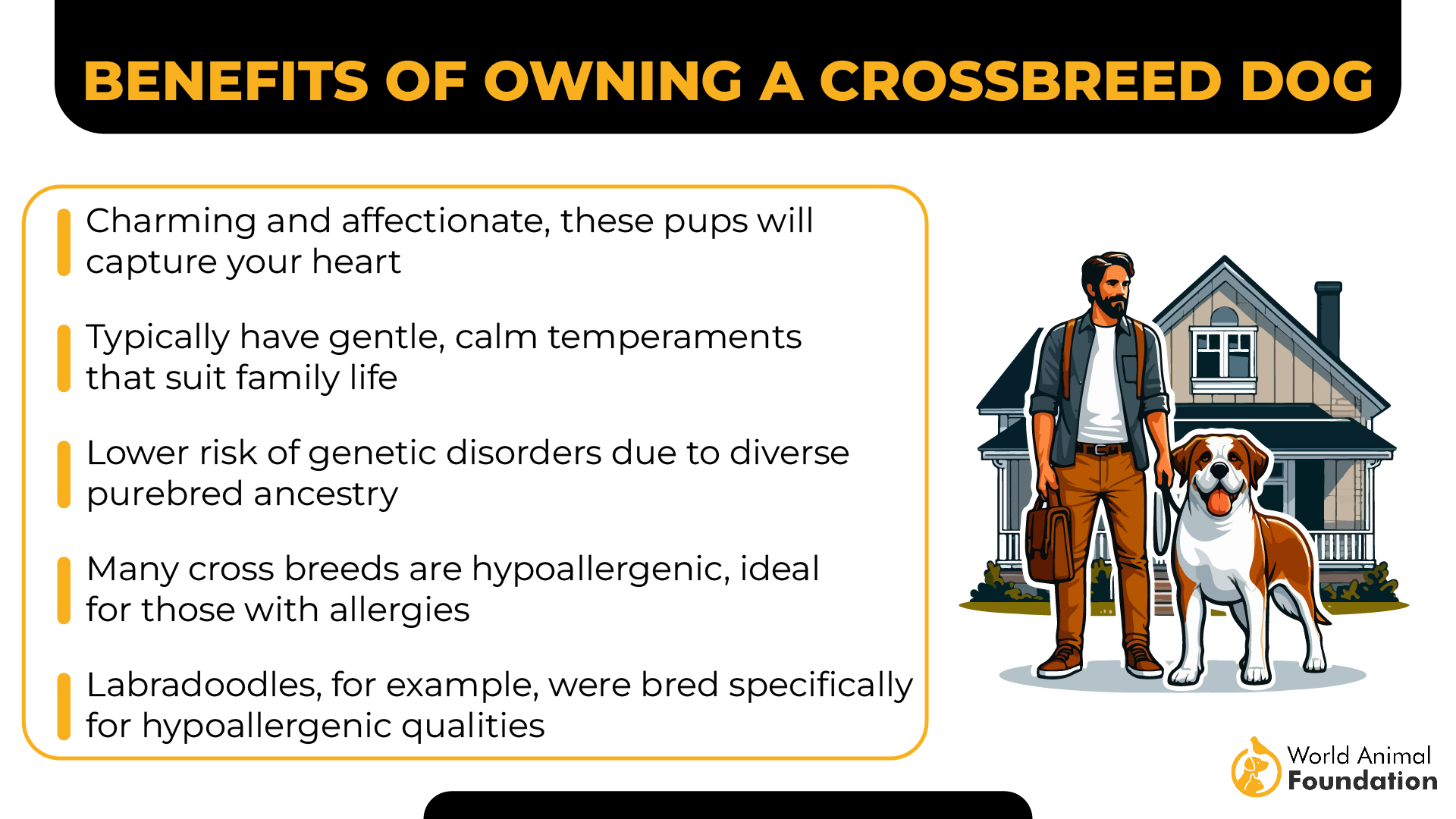 Benefits of Owning a Crossbreed Dog-01