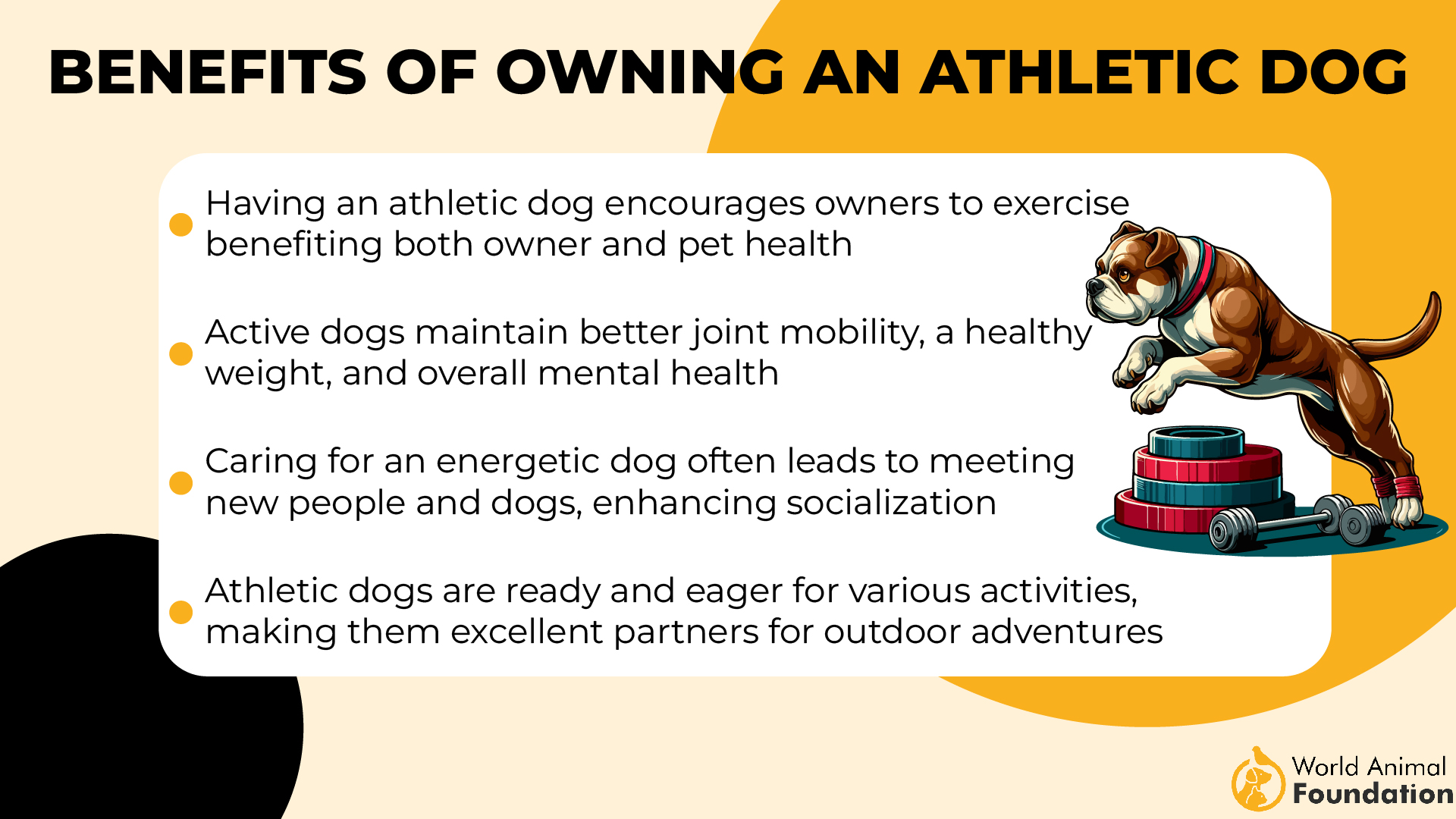 Benefits of Owning an Athletic Dog-01