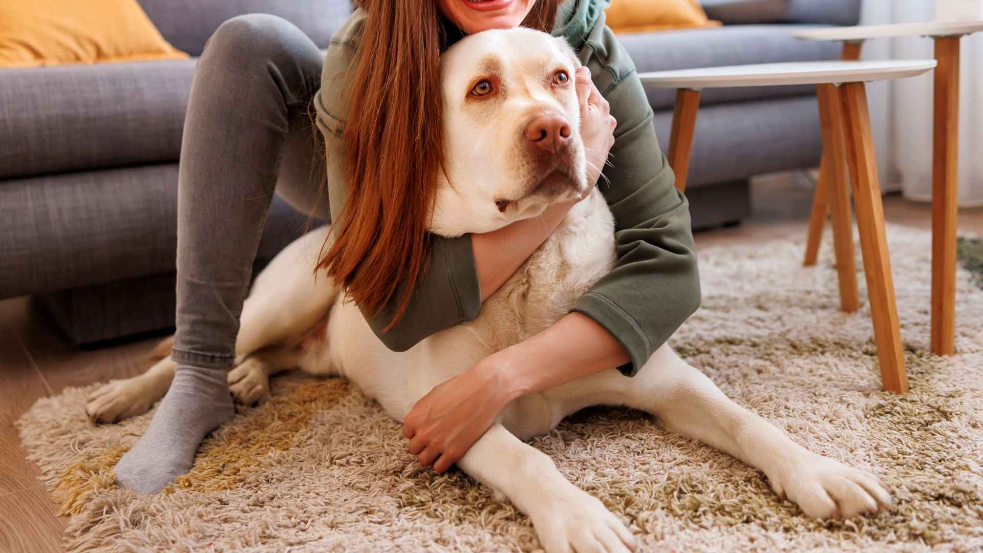 Best Dog Breeds for Cuddling