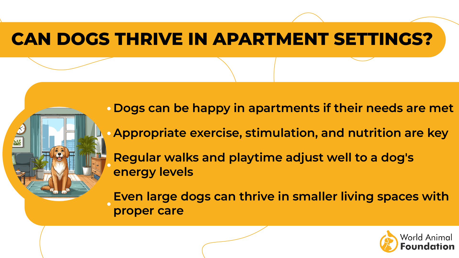 Can Dogs Thrive in Apartment Settings-01