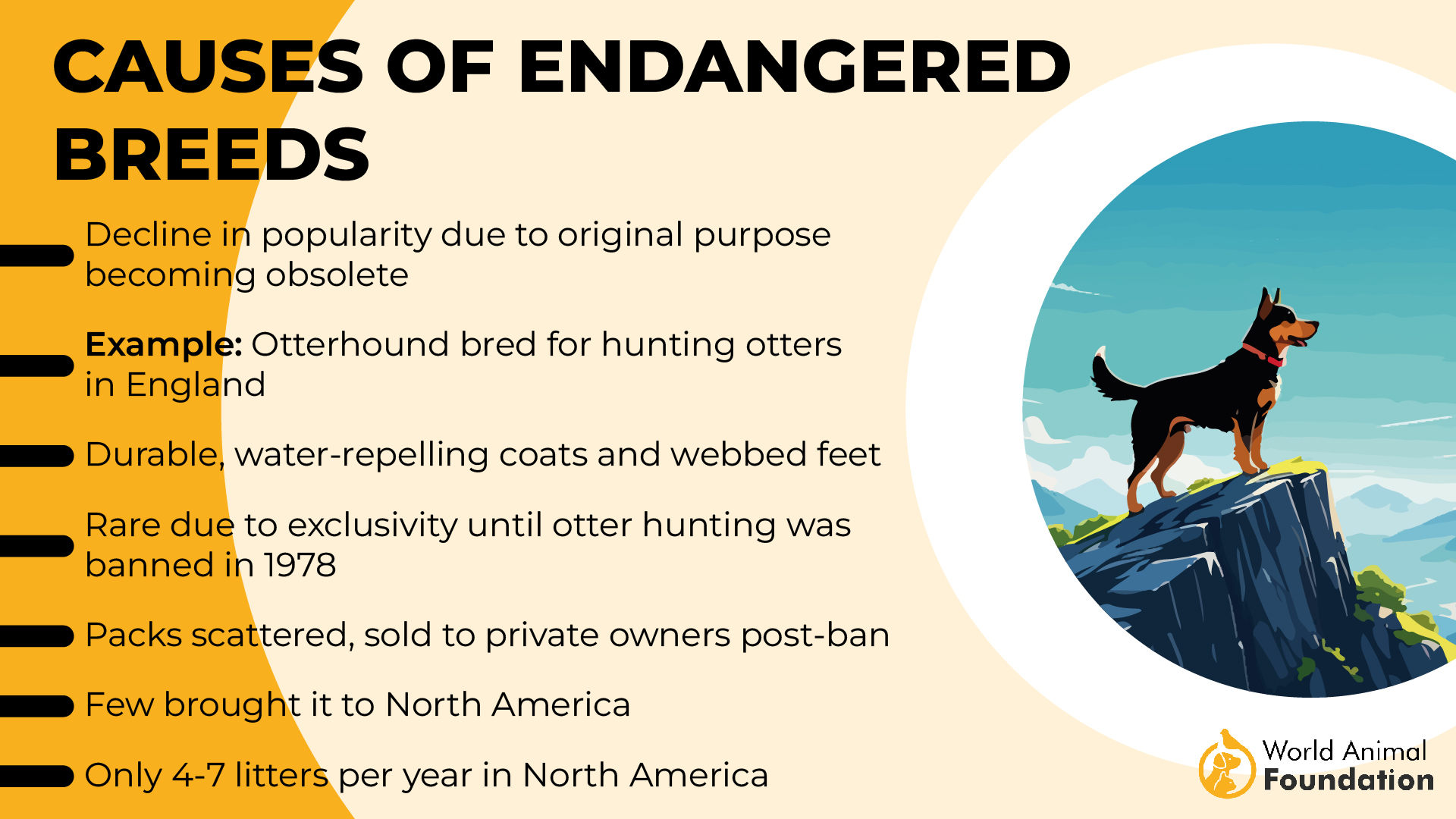 Causes of Endangered Breeds