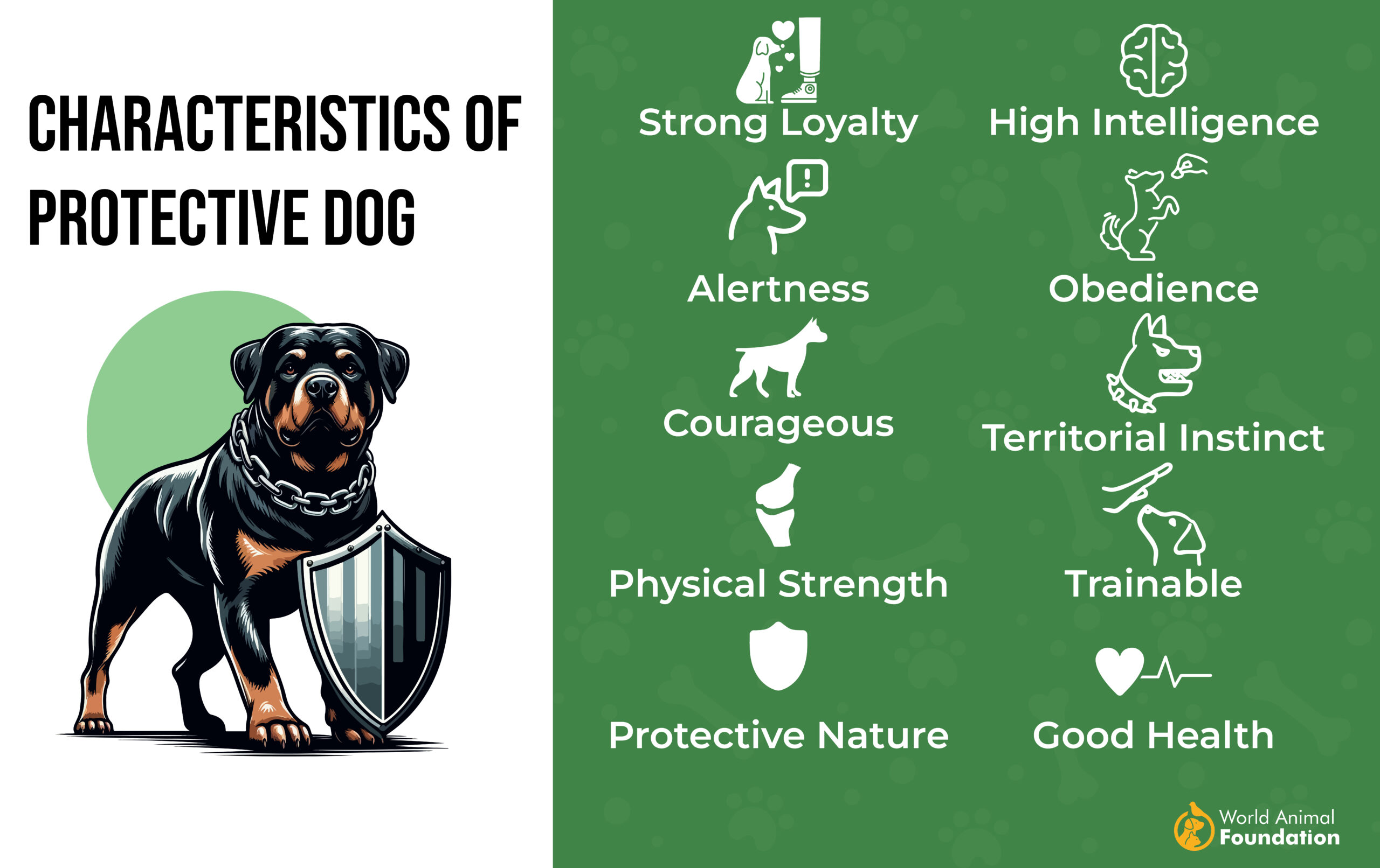 Characteristics of Protective dog-01