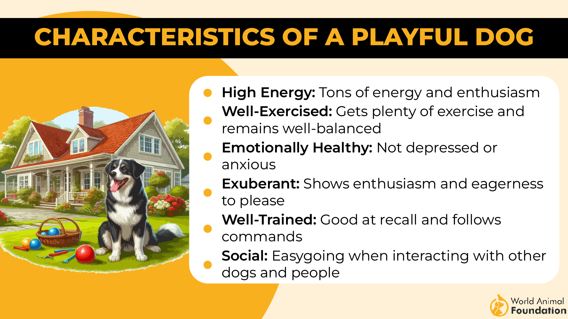 Characteristics of a Playful Dog-01