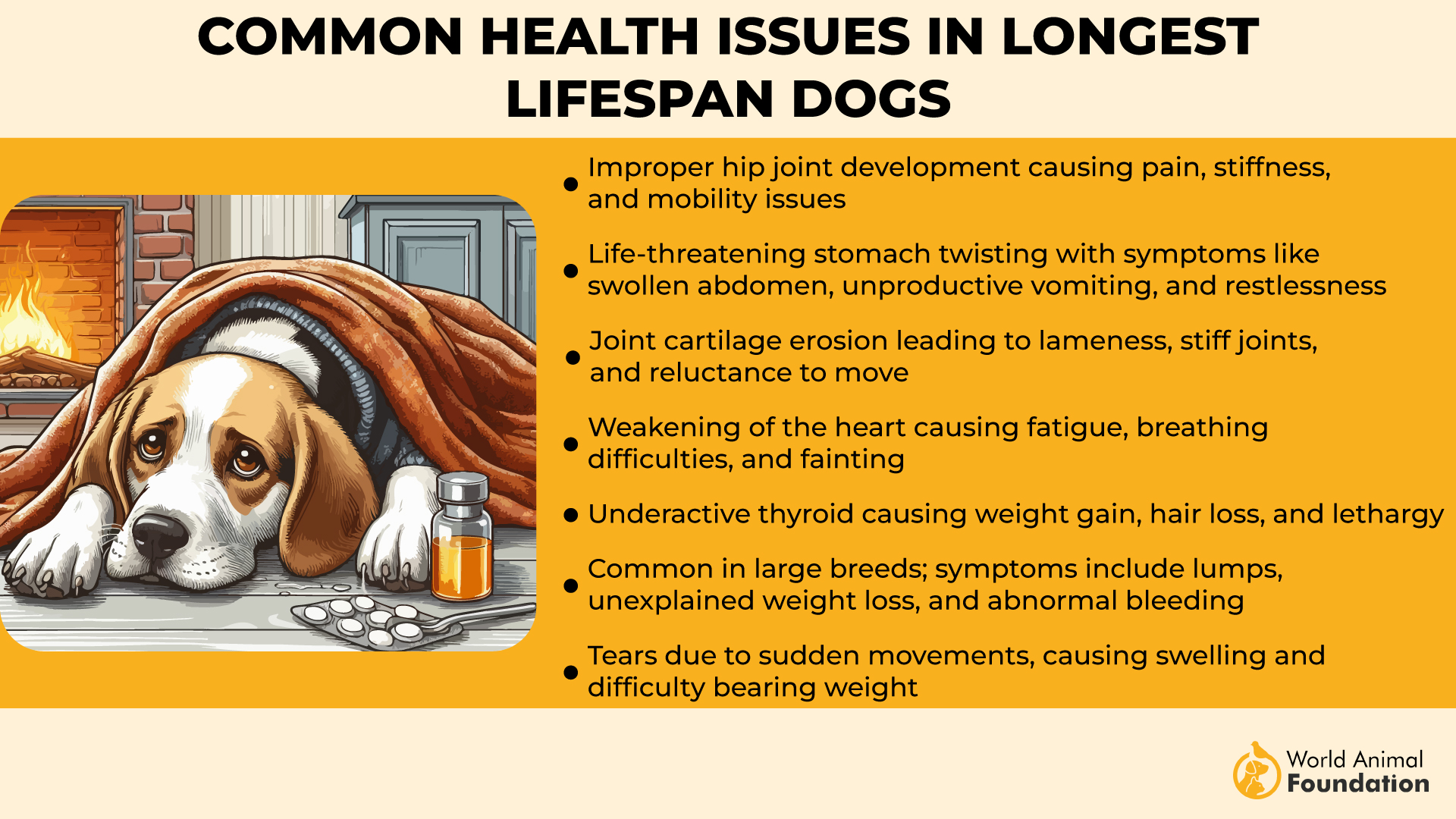 Common Health Issues in Longest Lifespan Dogs-01