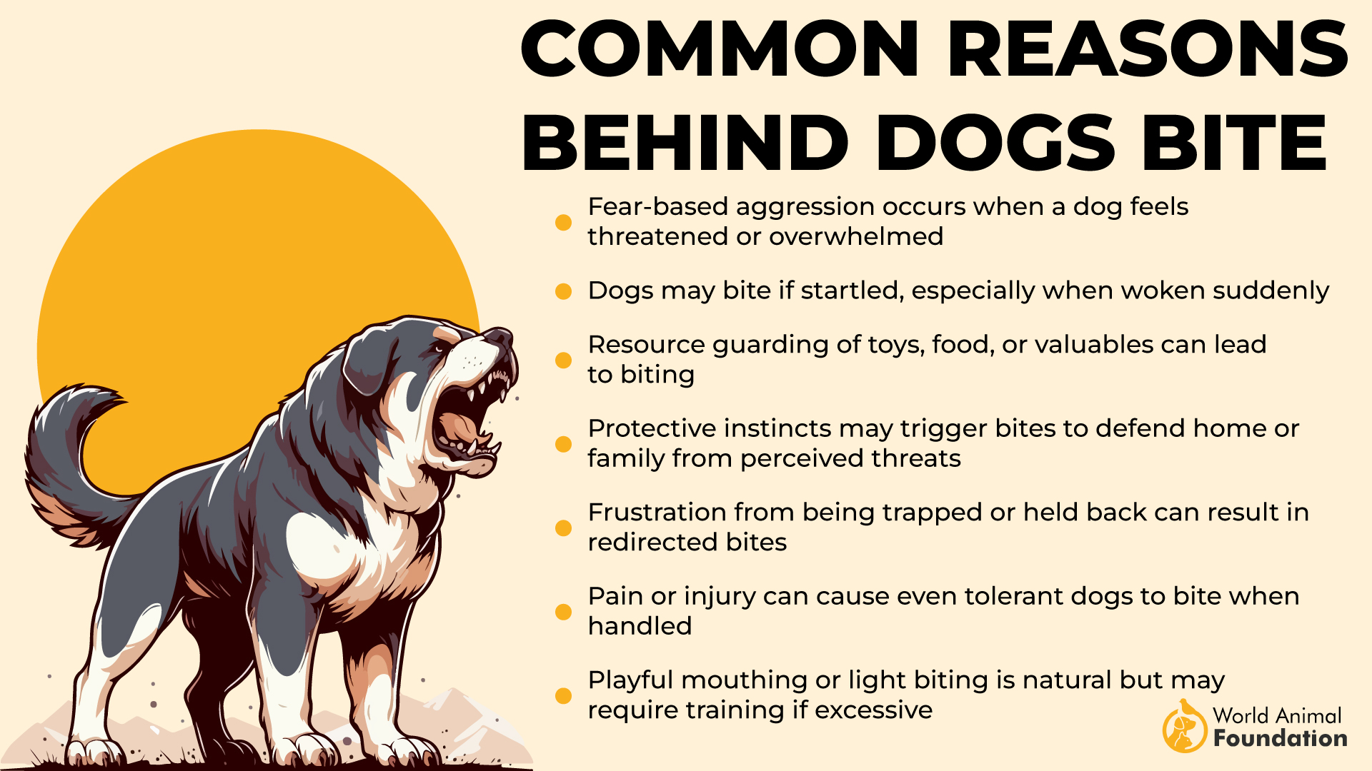 Common Reasons Dogs Bite-01