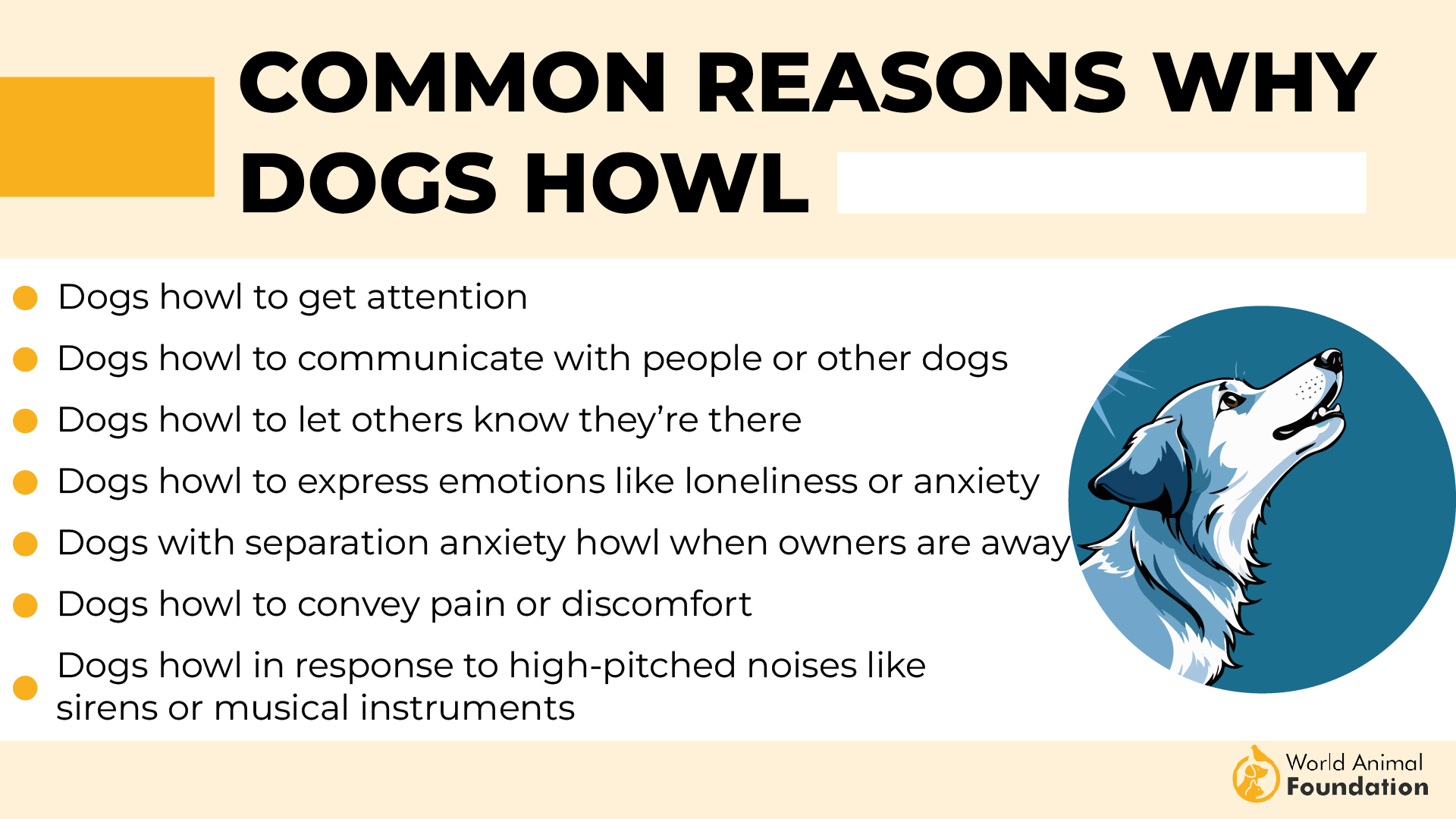 Common Reasons Why Dogs Howl-01