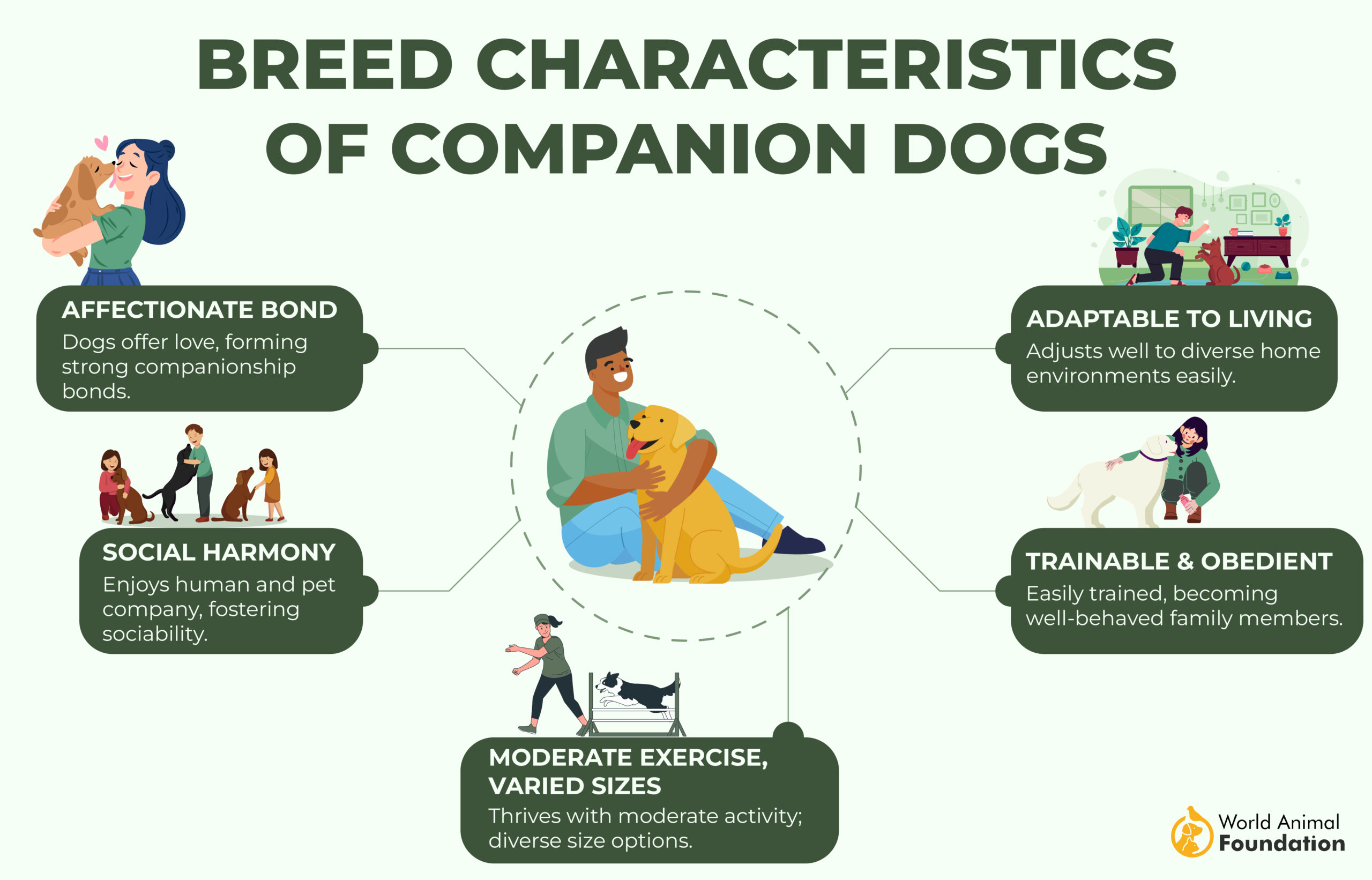 Companion Dogs-01