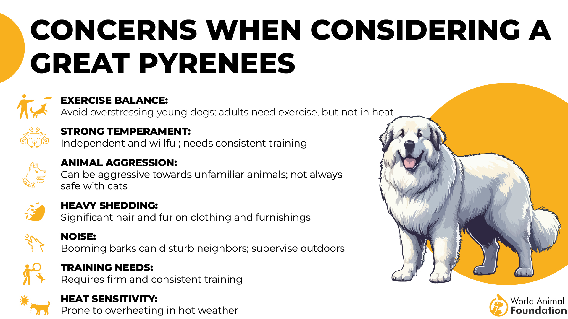 Concerns When Considering a Great Pyrenees-01