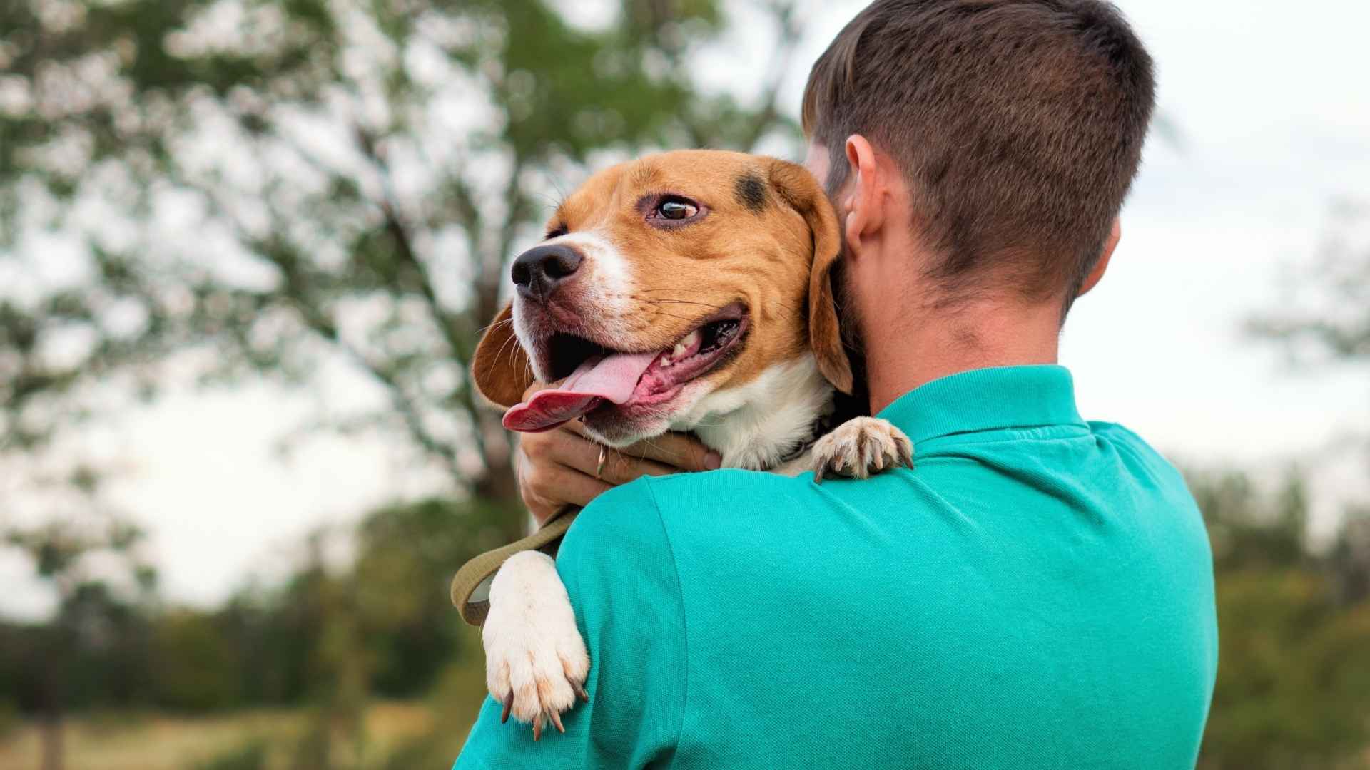 Dog Breeds Least Likely to Bite