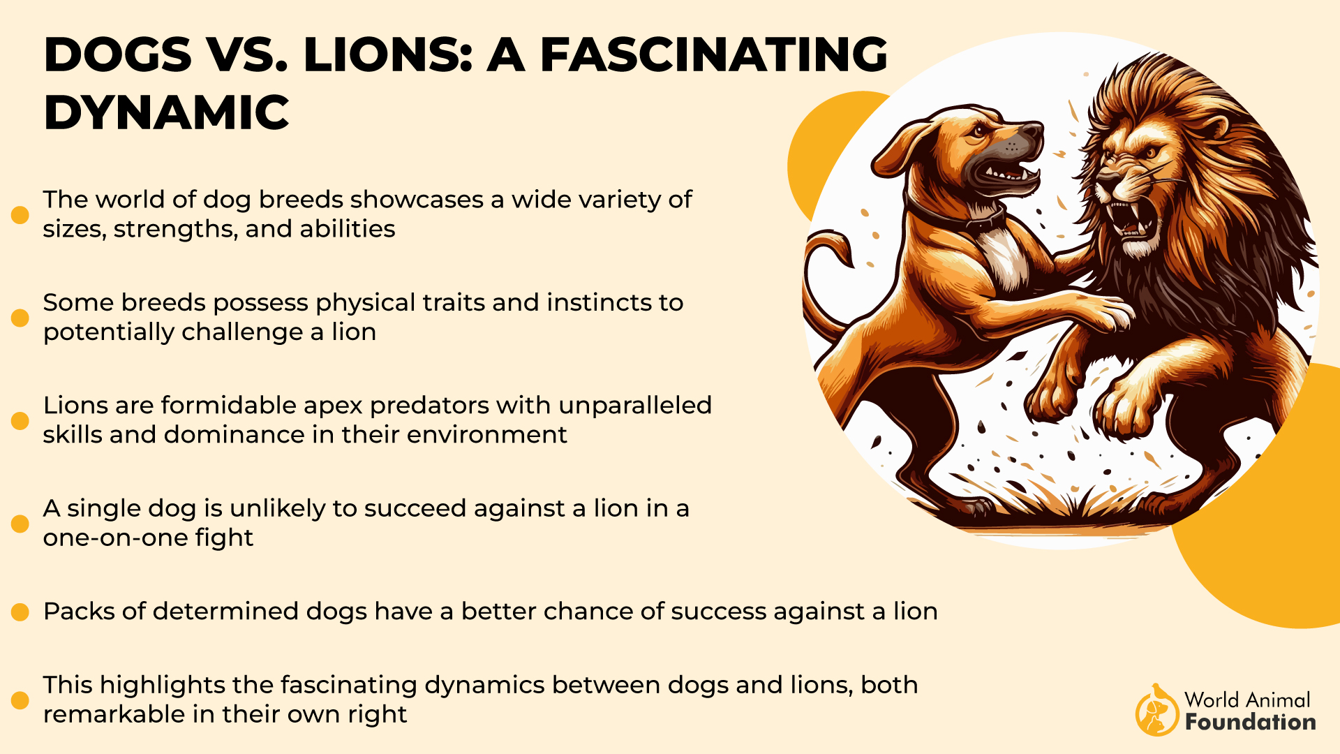 Dogs vs. Lions A Fascinating Dynamic-01