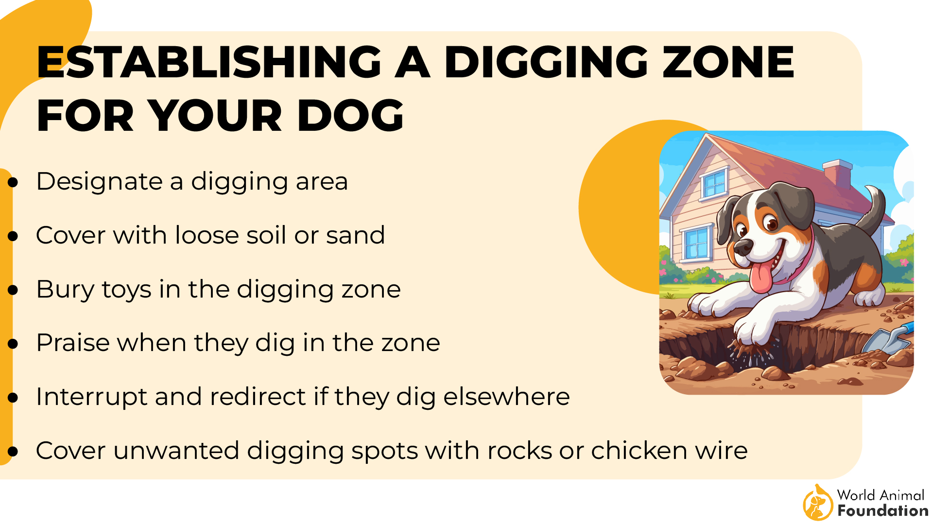 Establishing a Digging Zone for Your Dog-01