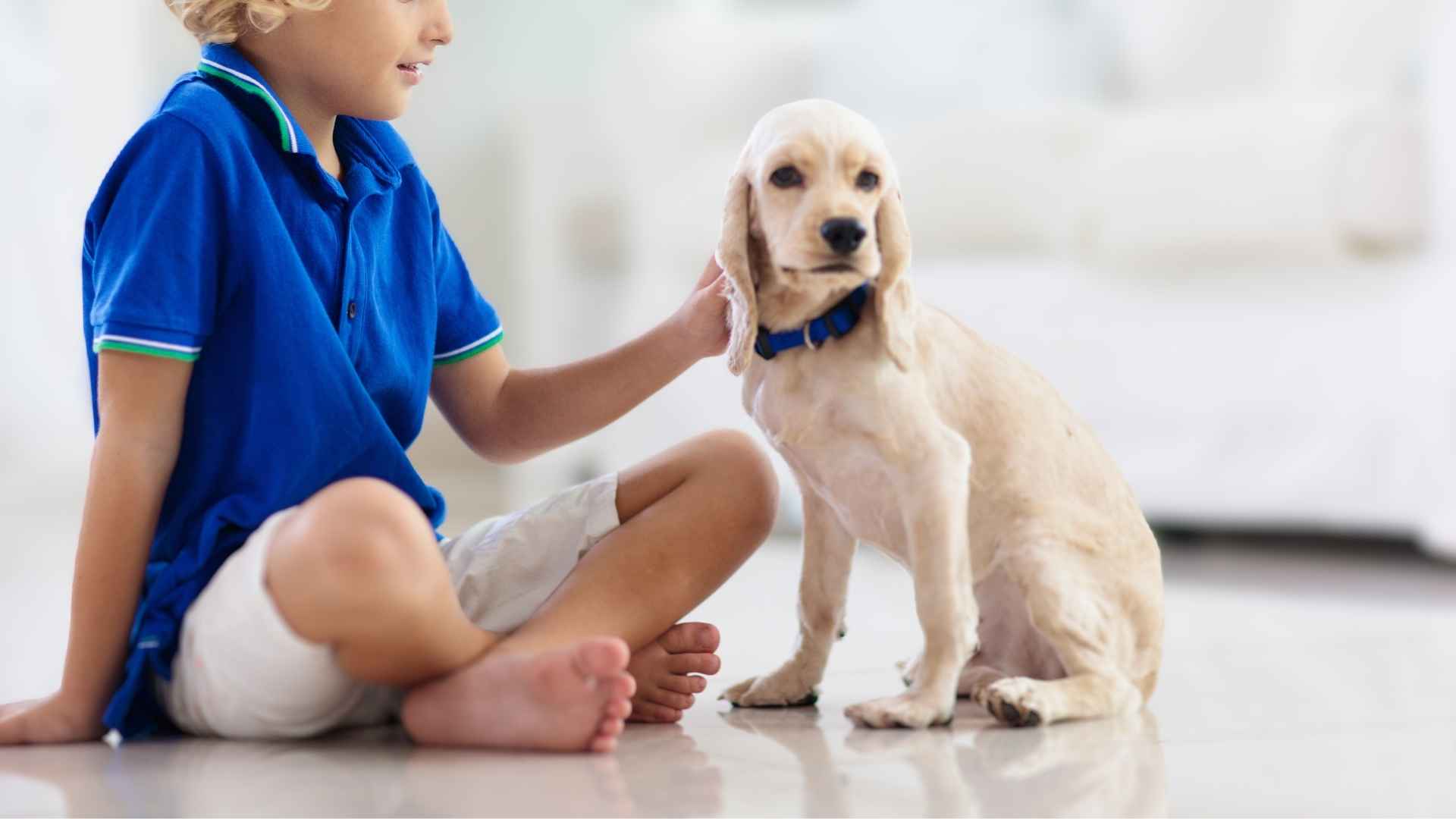 Family and Kid Friendly Dogs