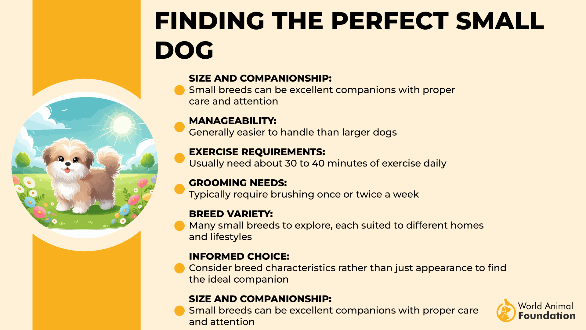 Finding the Perfect Small Dog-01