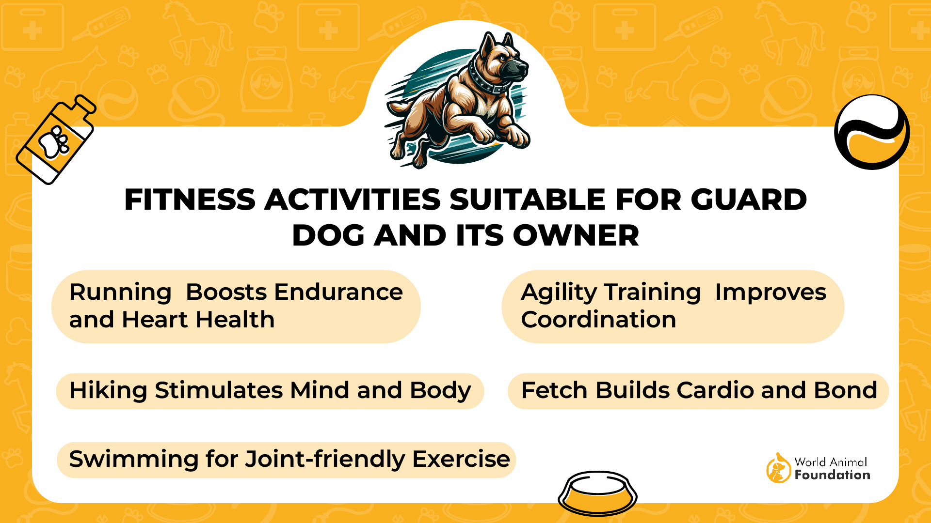 Fitness Activities Suitable for Guard Dog and Its Owner-01