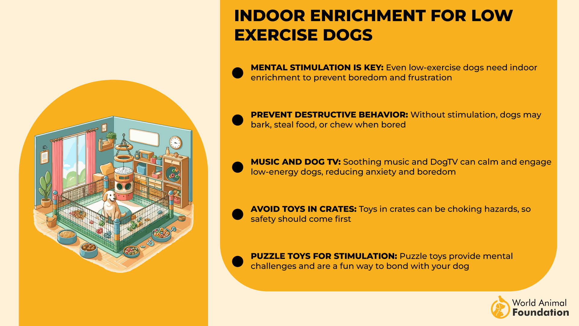 Indoor Enrichment for Low-Exercise Dogs-01