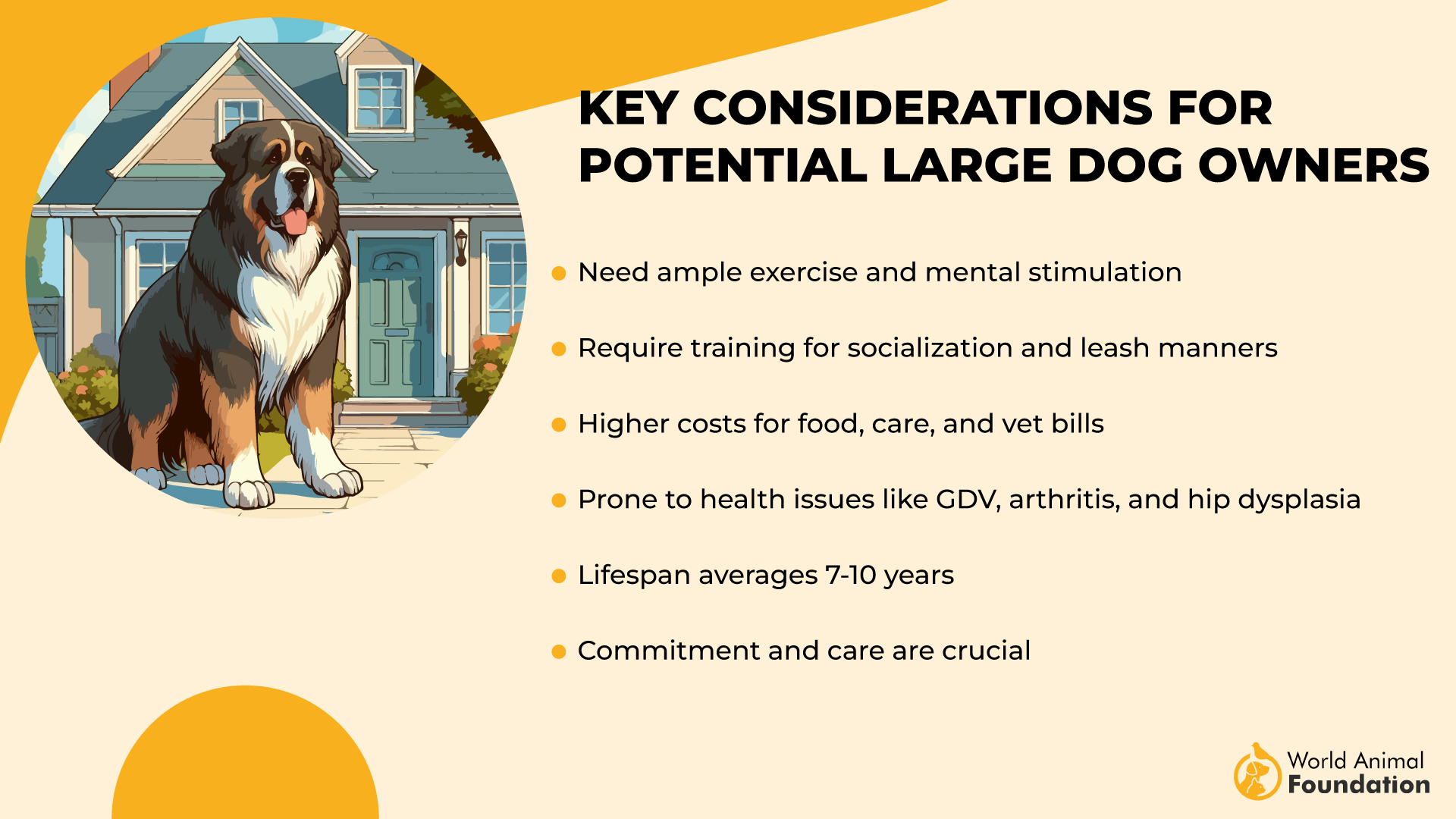 Key Considerations for Potential Large Dog Owners-01