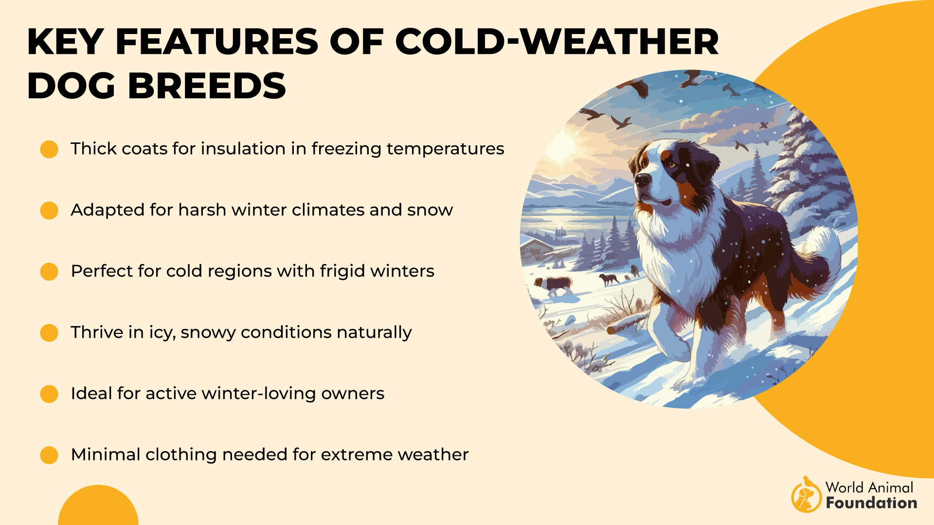 Key Features of Cold-Weather Dog Breeds-01(1)