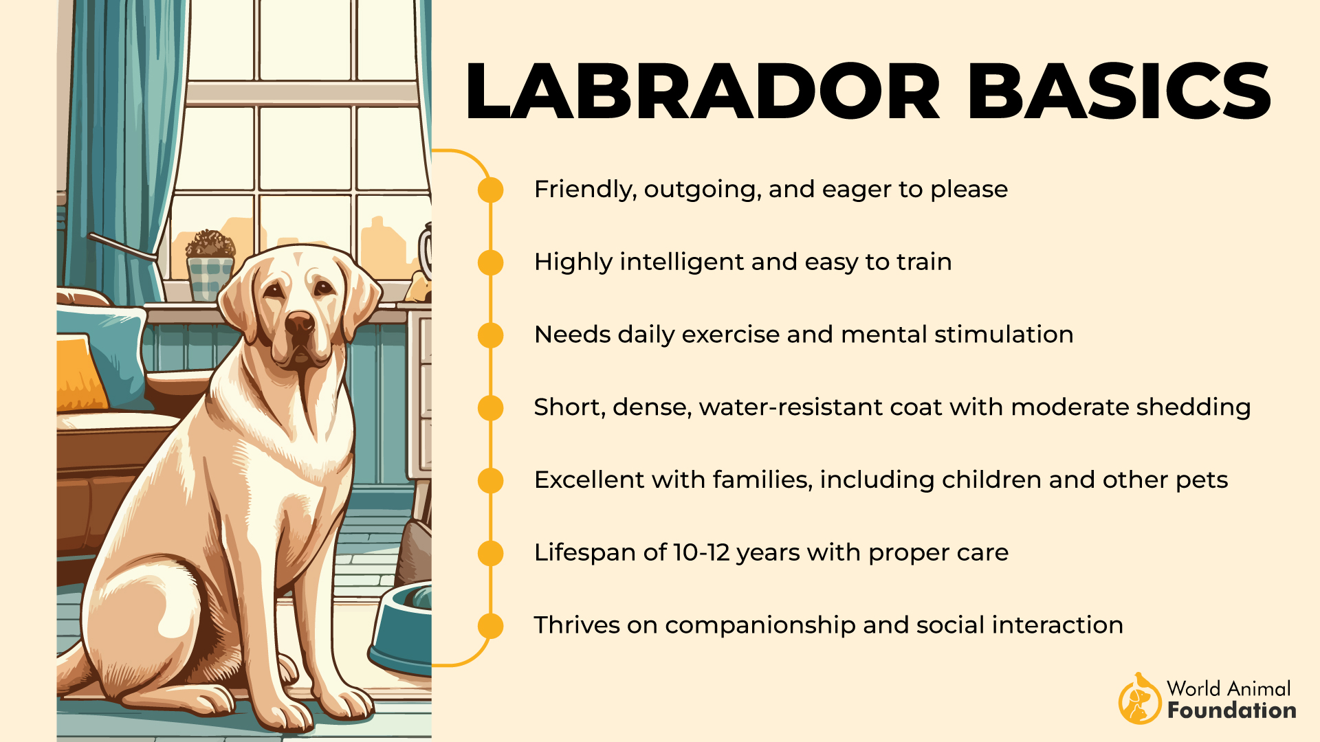 Labrador Basics-01