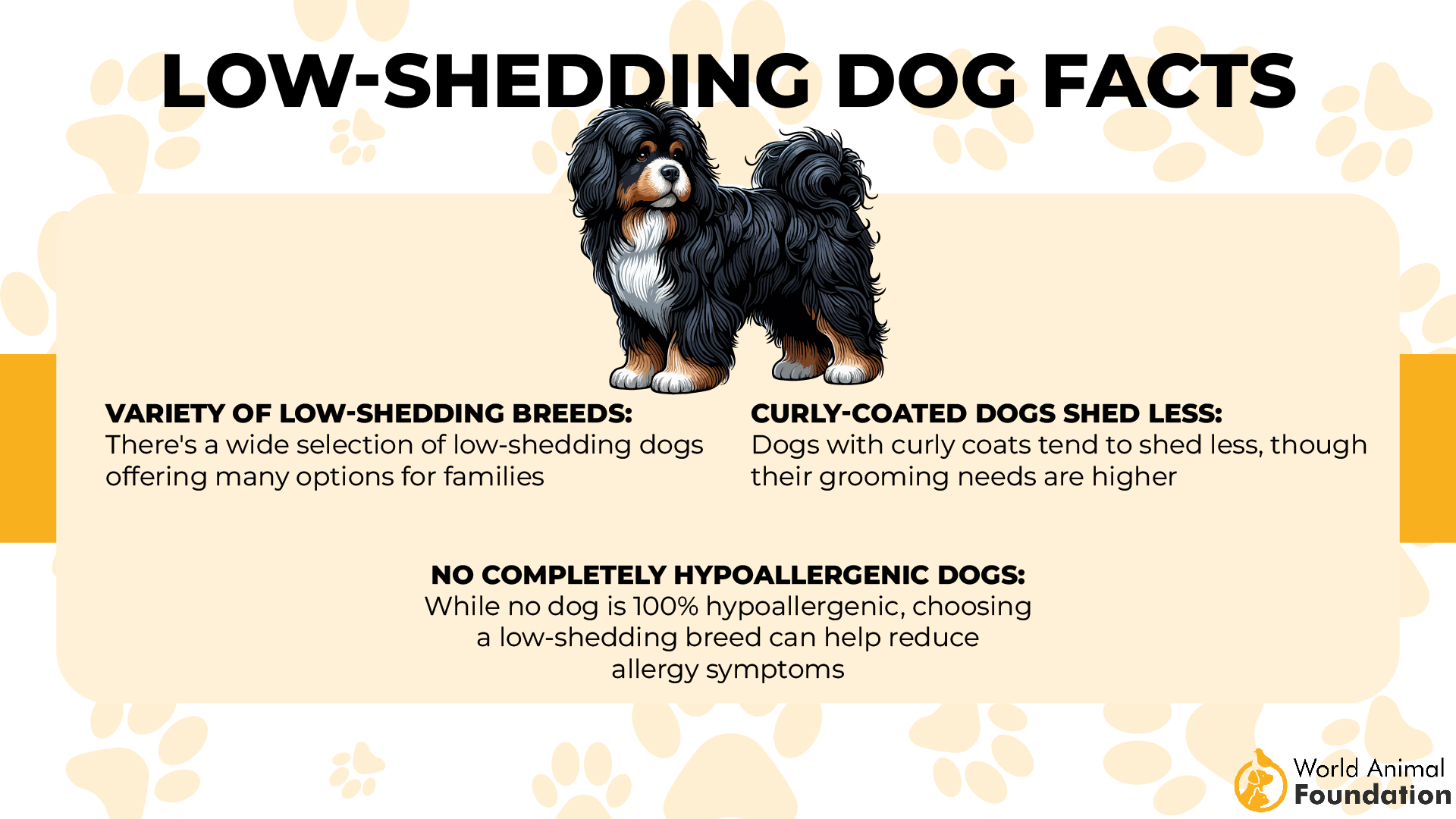 Low-Shedding Dog Facts-01